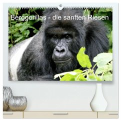 Berggorillas - die sanften Riesen (hochwertiger Premium Wandkalender 2024 DIN A2 quer), Kunstdruck in Hochglanz - Herzog, Michael