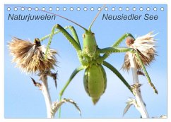 Naturjuwelen - Neusiedler See (Tischkalender 2024 DIN A5 quer), CALVENDO Monatskalender - Bachmeier, Günter