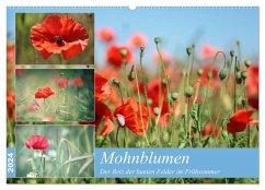 Mohnblumen (Wandkalender 2024 DIN A2 quer), CALVENDO Monatskalender - Deter, Thomas