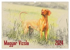 Magyar Vizsla 2024 (Wandkalender 2024 DIN A2 quer), CALVENDO Monatskalender - Redecker, Andrea