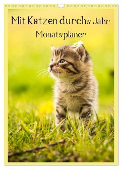 Mit Katzen durchs Jahr / Planer (Wandkalender 2024 DIN A3 hoch), CALVENDO Monatskalender