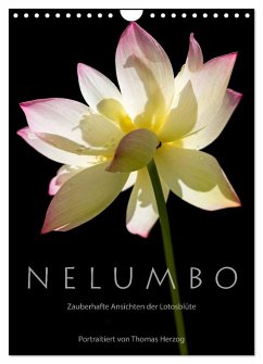N E L U M B O ¿ Zauberhafte Ansichten der Lotosblüte (Wandkalender 2024 DIN A4 hoch), CALVENDO Monatskalender