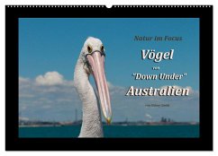 Vögel von "Down Under" Australien (Wandkalender 2024 DIN A2 quer), CALVENDO Monatskalender