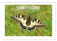 Schmetterlinge: zart und bunt (Wandkalender 2024 DIN A4 quer), CALVENDO Monatskalender
