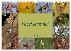 Vögel ganz nah (Wandkalender 2024 DIN A3 quer), CALVENDO Monatskalender