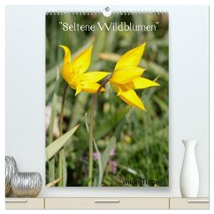 Seltene Wildblumen (hochwertiger Premium Wandkalender 2024 DIN A2 hoch), Kunstdruck in Hochglanz - Erlwein, Winfried
