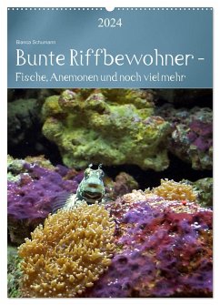 Bunte Riffbewohner - Fische, Anemonen und noch viel mehr (Wandkalender 2024 DIN A2 hoch), CALVENDO Monatskalender