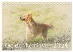 Golden Retriever 2024 (Tischkalender 2024 DIN A5 quer), CALVENDO Monatskalender