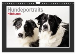 Hundeportraits - Hütehunde (Wandkalender 2024 DIN A4 quer), CALVENDO Monatskalender