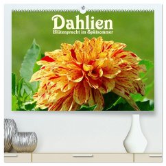 Dahlien - Blütenpracht im Spätsommer (hochwertiger Premium Wandkalender 2024 DIN A2 quer), Kunstdruck in Hochglanz
