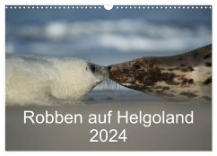 Robben auf Helgoland 2024 (Wandkalender 2024 DIN A3 quer), CALVENDO Monatskalender