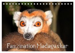 Faszination Madagaskar (Tischkalender 2024 DIN A5 quer), CALVENDO Monatskalender