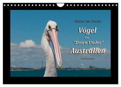 Vögel von &quote;Down Under&quote; Australien (Wandkalender 2024 DIN A4 quer), CALVENDO Monatskalender