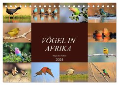 Vögel in Afrika - Magie der Farben (Tischkalender 2024 DIN A5 quer), CALVENDO Monatskalender