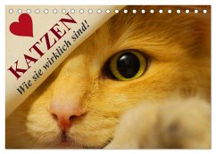 Katzen ¿ Wie sie wirklich sind! (Tischkalender 2024 DIN A5 quer), CALVENDO Monatskalender