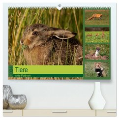 Tiere in der Feldmark (hochwertiger Premium Wandkalender 2024 DIN A2 quer), Kunstdruck in Hochglanz
