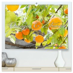 Emotionale Momente: Orangen & Zitronen. (hochwertiger Premium Wandkalender 2024 DIN A2 quer), Kunstdruck in Hochglanz