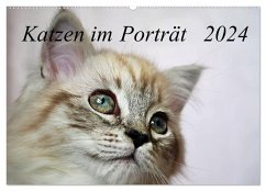 Katzen im Porträt / Geburtstagskalender (Wandkalender 2024 DIN A2 quer), CALVENDO Monatskalender