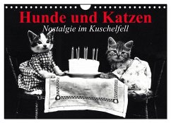 Hunde und Katzen - Nostalgie im Kuschelfell (Wandkalender 2024 DIN A4 quer), CALVENDO Monatskalender