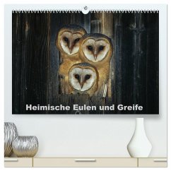 Heimische Eulen und Greife (hochwertiger Premium Wandkalender 2024 DIN A2 quer), Kunstdruck in Hochglanz