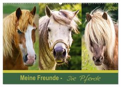 Meine Freunde - die Pferde (Wandkalender 2024 DIN A2 quer), CALVENDO Monatskalender - Dölling, AD DESIGN Photo + PhotoArt, Angela