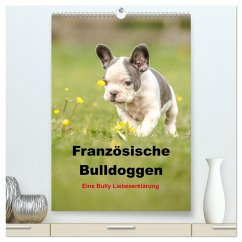 Französische Bulldoggen - Eine Bully Liebeserkärung (hochwertiger Premium Wandkalender 2024 DIN A2 hoch), Kunstdruck in Hochglanz