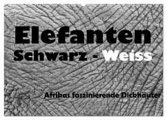 Elefanten Schwarz - Weiss (Wandkalender 2024 DIN A2 quer), CALVENDO Monatskalender