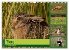 Tiere in der Feldmark (Wandkalender 2024 DIN A3 quer), CALVENDO Monatskalender - Erlwein, Winfried