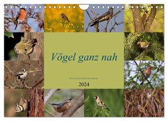 Vögel ganz nah (Wandkalender 2024 DIN A4 quer), CALVENDO Monatskalender