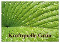 Kraftquelle Grün (Tischkalender 2024 DIN A5 quer), CALVENDO Monatskalender - Andersen, Ilona