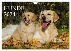 Hunde - Treue Freunde für´s Leben (Wandkalender 2024 DIN A4 quer), CALVENDO Monatskalender