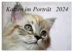 Katzen im Porträt / Geburtstagskalender (Tischkalender 2024 DIN A5 quer), CALVENDO Monatskalender