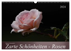 Zarte Schönheiten - Rosen (Wandkalender 2024 DIN A3 quer), CALVENDO Monatskalender