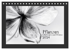 Pflanzen in Schwarz und Weiss / CH-Version (Tischkalender 2024 DIN A5 quer), CALVENDO Monatskalender