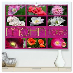 Mohn Tage (hochwertiger Premium Wandkalender 2024 DIN A2 quer), Kunstdruck in Hochglanz