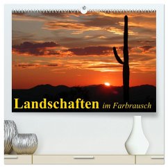 Landschaften im Farbrausch (hochwertiger Premium Wandkalender 2024 DIN A2 quer), Kunstdruck in Hochglanz