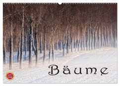 Bäume (Wandkalender 2024 DIN A2 quer), CALVENDO Monatskalender