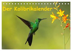 Der Kolibrikalender (Tischkalender 2024 DIN A5 quer), CALVENDO Monatskalender - Akrema-Photography