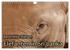 Bedrohte Riesen - Elefanten in Sri Lanka (Wandkalender 2024 DIN A4 quer), CALVENDO Monatskalender
