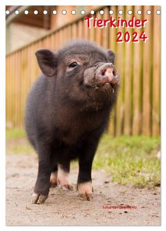 Tierkinder (Tischkalender 2024 DIN A5 hoch), CALVENDO Monatskalender