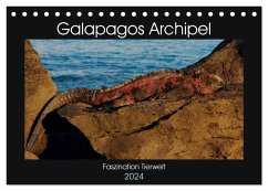 Galapagos Archipel- Faszination Tierwelt (Tischkalender 2024 DIN A5 quer), CALVENDO Monatskalender - Photo4emotion.com