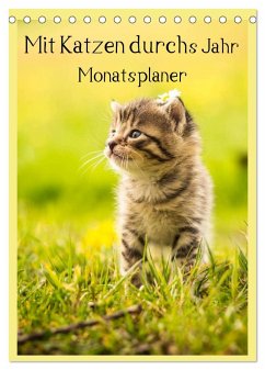 Mit Katzen durchs Jahr / Planer (Tischkalender 2024 DIN A5 hoch), CALVENDO Monatskalender