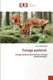 Forage pastoral