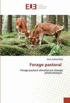 Forage pastoral - DJONGYANG, Denis