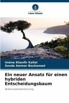 Ein neuer Ansatz für einen hybriden Entscheidungsbaum - Khanfir Kallel, Imène;Bouhamed, Sonda Ammar