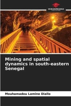 Mining and spatial dynamics in south-eastern Senegal - Diallo, Mouhamadou Lamine