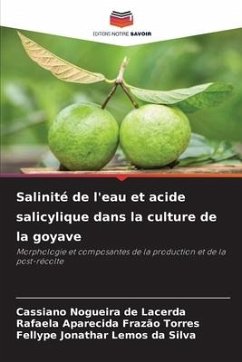 Salinité de l'eau et acide salicylique dans la culture de la goyave - Lacerda, Cassiano Nogueira de;Torres, Rafaela Aparecida Frazão;Silva, Fellype Jonathar Lemos da