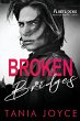 Broken Bridges - Bild 1