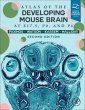 Atlas of the Developing Mouse Brain - Bild 1