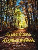 Una Luz En El Camino: A Light on the Road